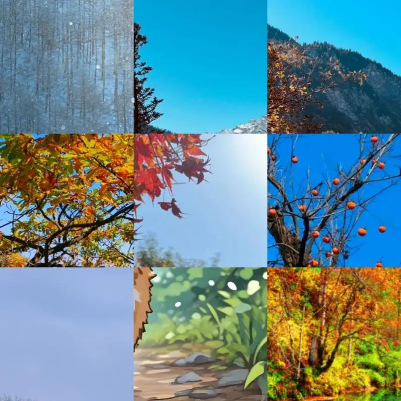 3 In 1 Type C To Cf…