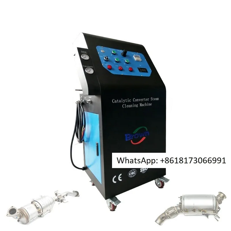 Catalytic Converter Carbon Clean Machine DPF Filter Steam Cleaner Machine System