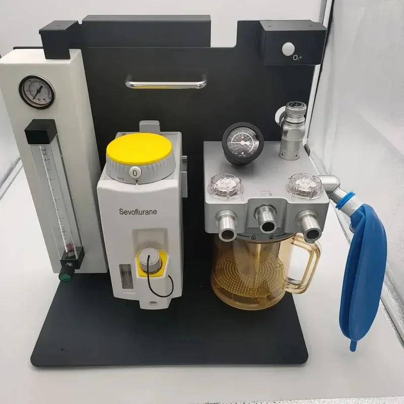 

Veterinary Anaesthesia Machine Anaesthetic Device with Ventilator for Pet Clinic