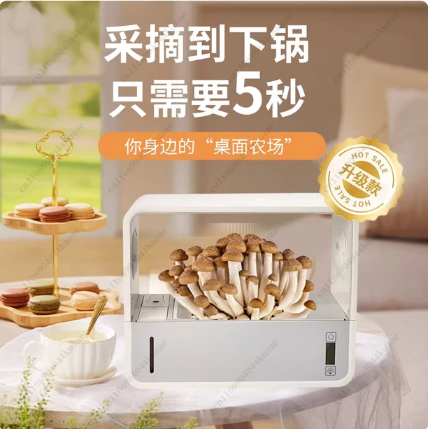 Smart Mushroom Grow Bag - Professional Garden Mushroom Cultivation Equipment