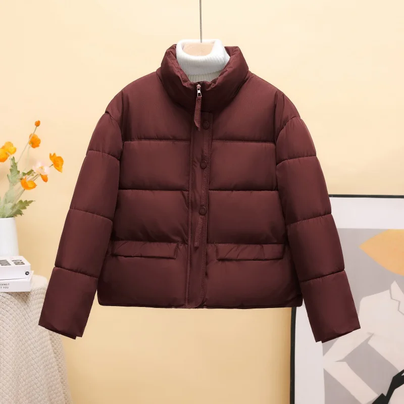 Short Women Parkas Coats Oversize Jacket Solid Stand Collar Zipper Long Sleeves Straight Thick Casual Office Lady 2025 Winter