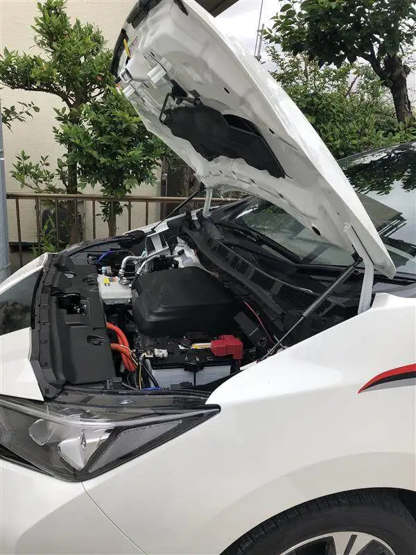 

2PCS Hood Damper For 2016-2023 Nissan Leaf ZE1 MK2 Hatchback Front Bonnet Modify Gas Struts Lift Support Shock Absorber Piston