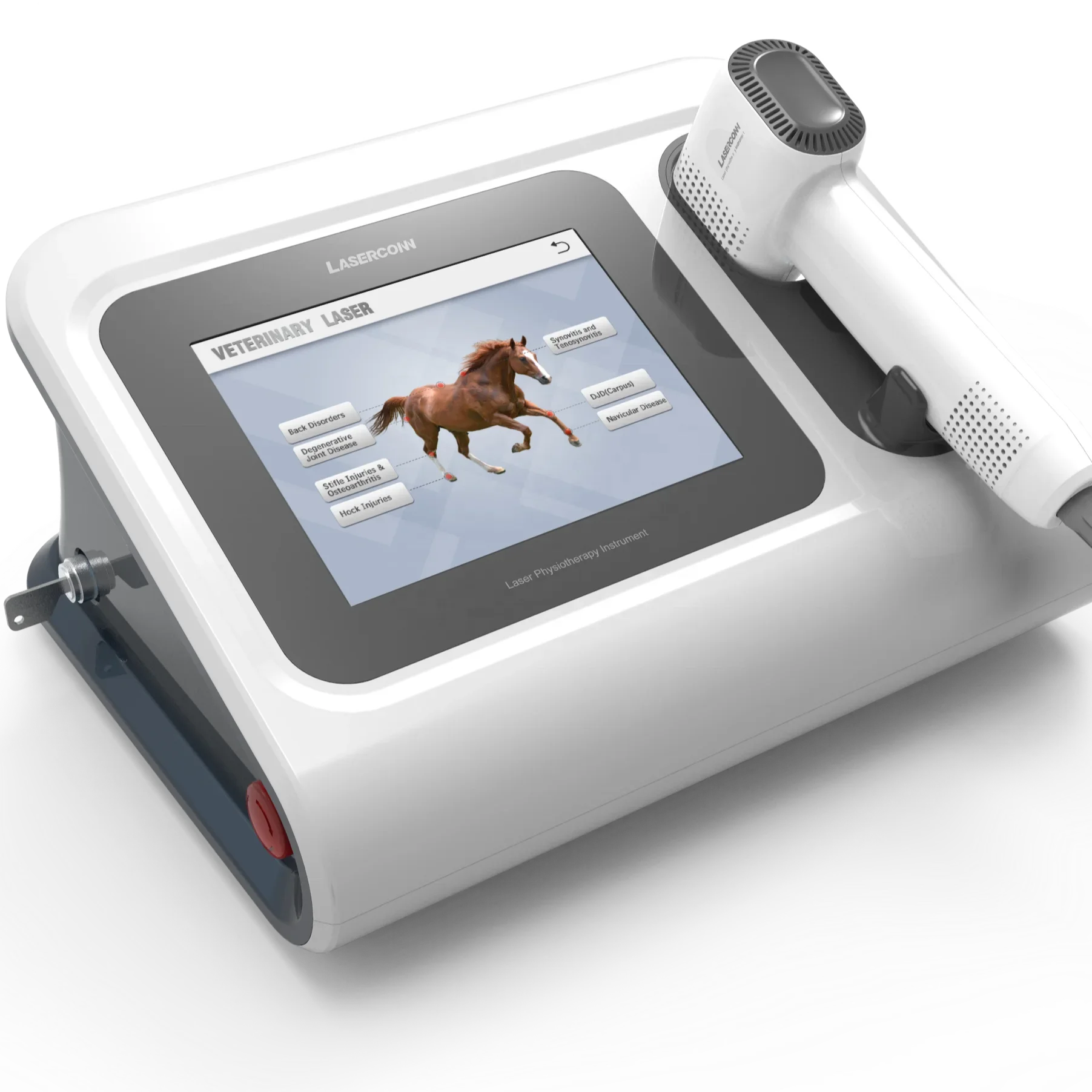 Veterinary Laser Cold Laser Therapy Dog Physical Therapy Equipments For Animals Use