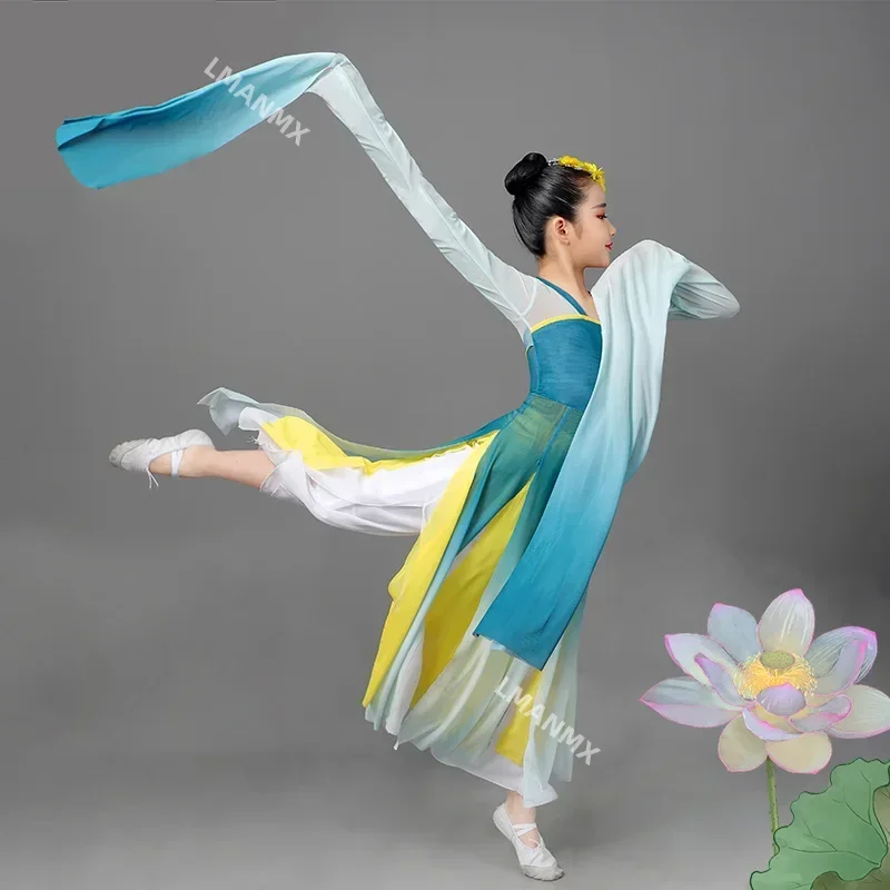 Chinese Folk Dance Classical Water Sleeve Performance Clothing Girls Traditional Yangko Dance Ancient National Fan Dance Outfit