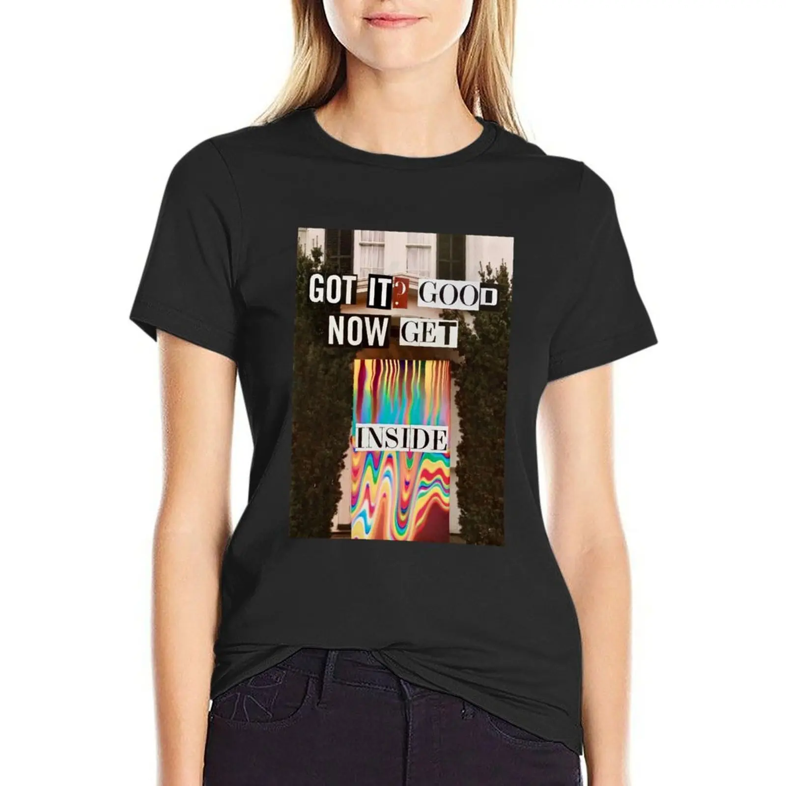 Got it Good Now Get Inside T-Shirt graphics animal print shirt for girls cute tops black t-shirts for Women