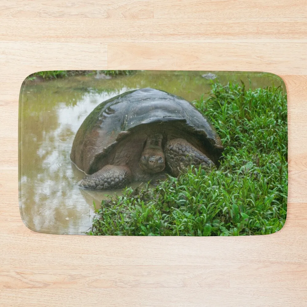 Galapagos Islands Giant Tortoise Turtle Bath Mat Bath Room Acessories Bathroom Accessory Mat