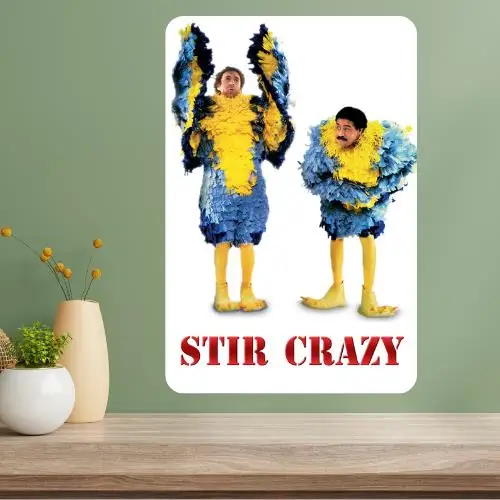 Stir Crazy Classic Movie Metal Poster Sign