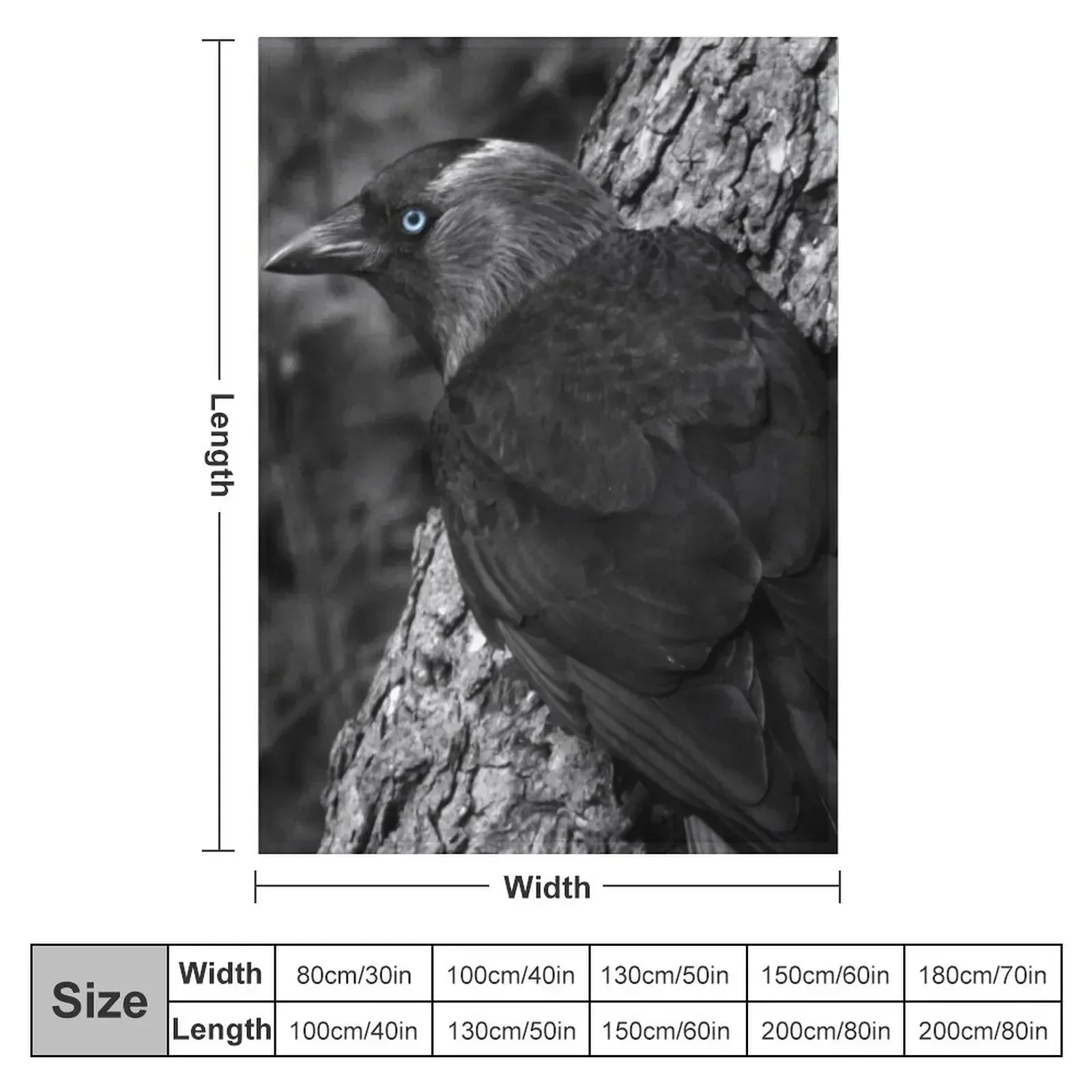 Black common crow Throw Blanket Furrys Retros Soft Beds Vintage Flannel christmas decoration Blankets