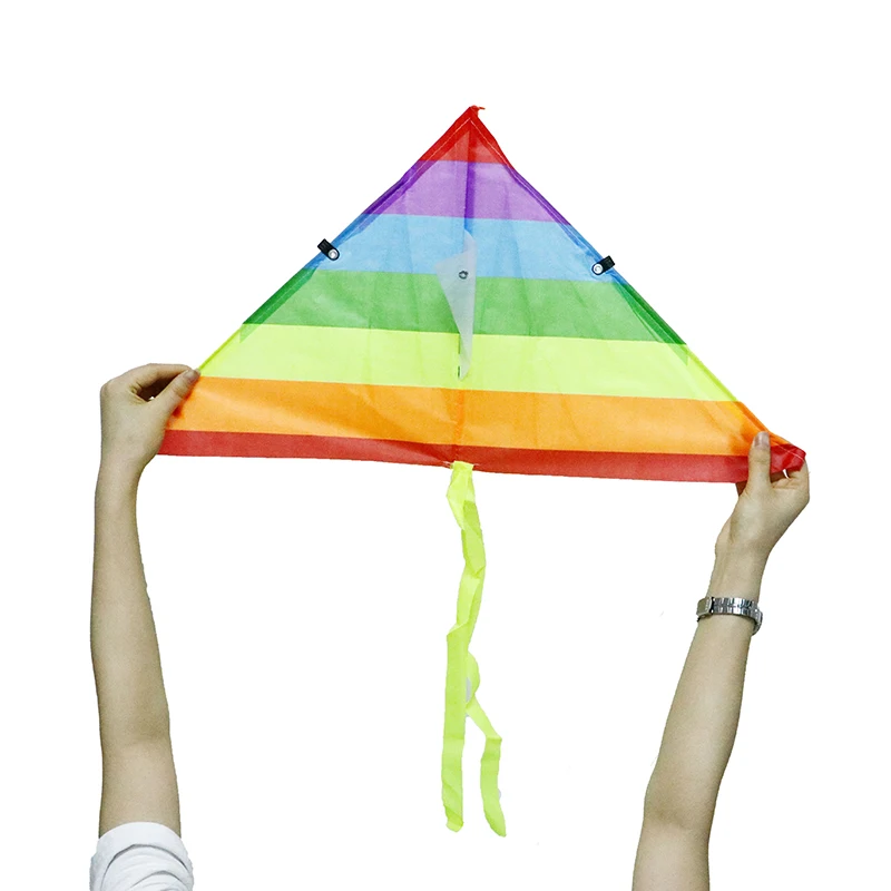 Aquilone arcobaleno con linea di aquiloni da 50 metri per bambini aquiloni per uccelli volanti manica a vento giocattoli da esterno per bambini regalo aquilone arcobaleno da giardino