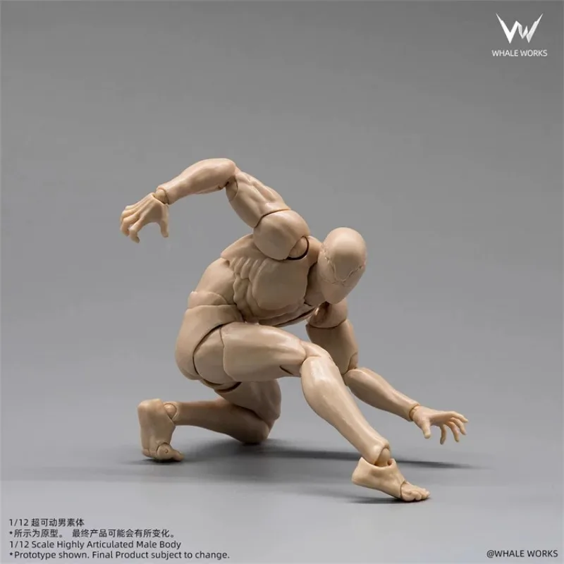 【2026 Q4】1/12 Maßstab WHALE WORKS Spielzeug Super Artikulierte Männliche Körperpuppen Austauschbarer Kopf Sammler-Actionfiguren