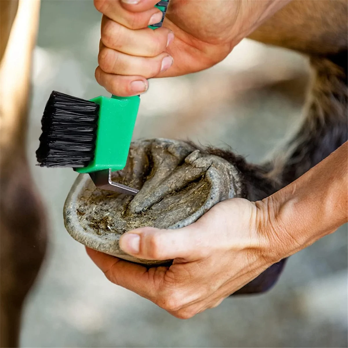 Cure-sabot pour cheval robuste avec poignée souple, brosse portable, 3 pièces