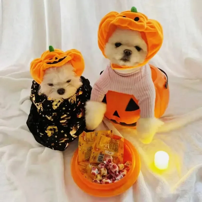 

Pet Cat Dog Pumpkin Hat Halloween Decoration Headgear Supplies Small Big Teddy Fight Dog Collar Dog Accessories Pet Supplies