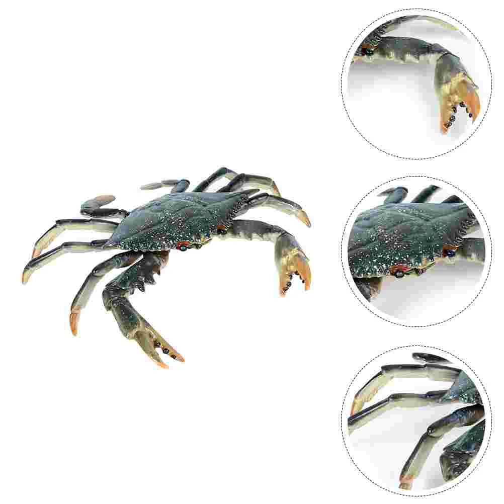 

Solid Portunid Landscape Decor Marine Animal Model Toy Crab Figure