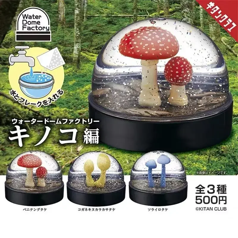 Cogumelo neve bola de cristal gashapon brinquedos cogumelo injeção água cena modelo decoração ornamentos bola de neve figura brinquedos