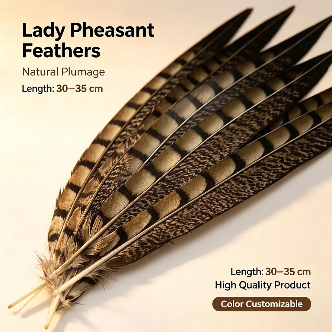 ZPDECOR Lady Pheasant Feathers Plumes 30-35cm/12-14 Inch for Crafts DIY Feathers Natural Bird Plumes