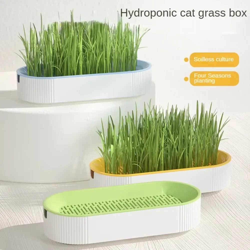 Cat Grass Planting Boxes Soilless Hydroponic Plant Cat Grass Home Seed Sprouter Tray Growing Cup Germination Greenhouse Grow Box