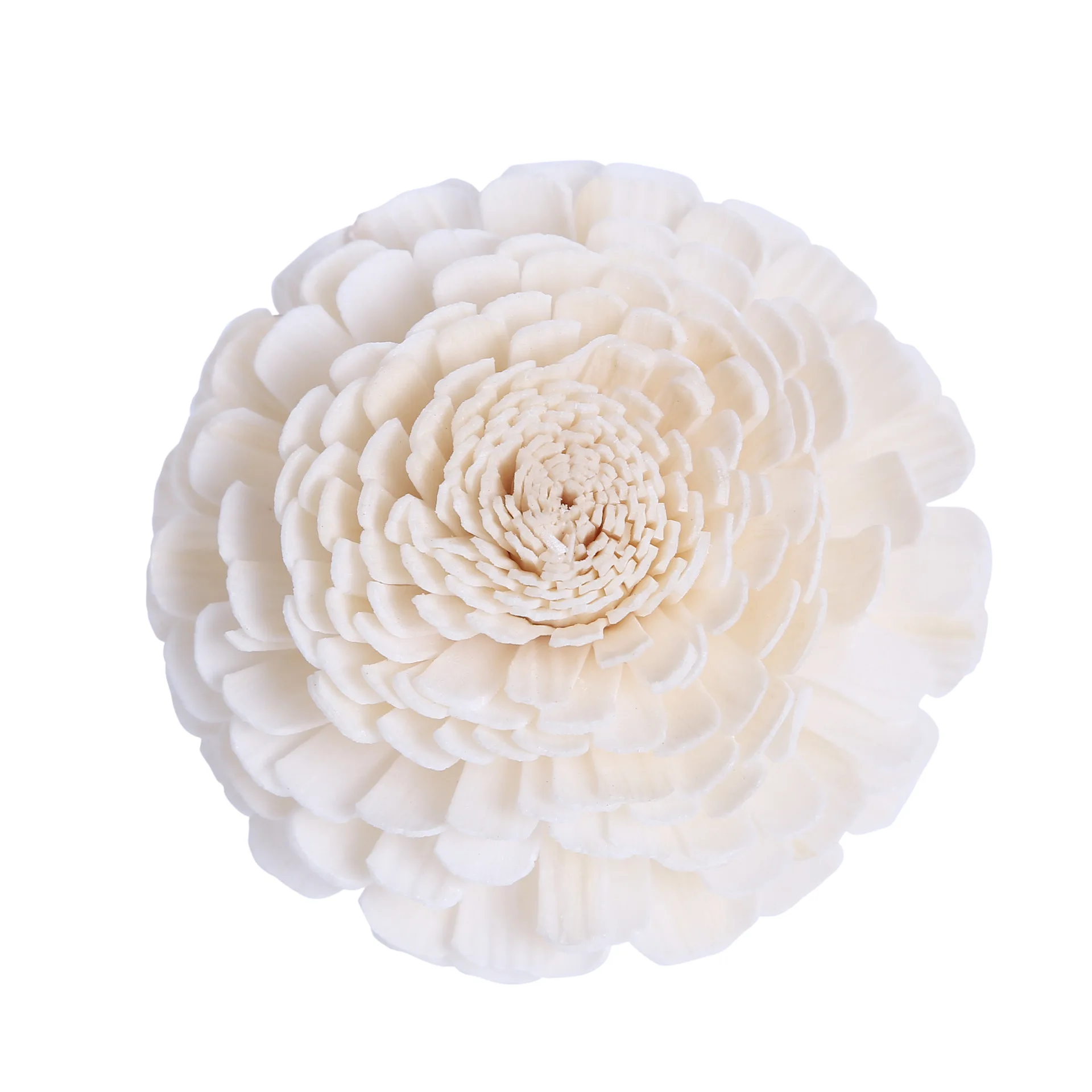 5PCS Aromatherapy Sola Flower,Plant Hand-dried Flower Simulation Flower Crafts Essential Oil Diffusing Accessories