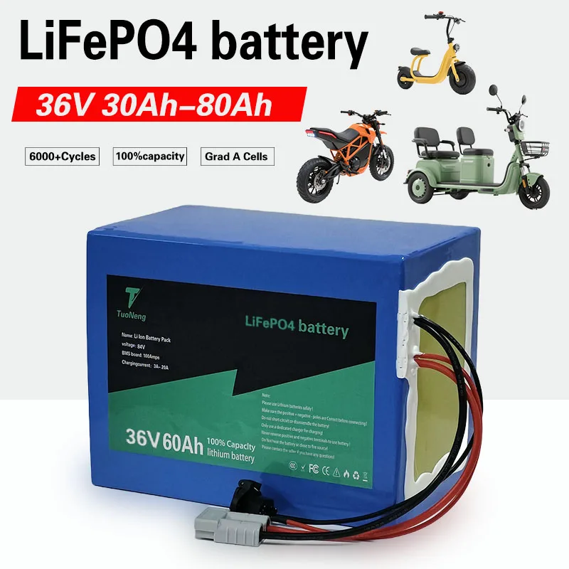 

36v 80ah 60Ah 50Ah 40Ah 30ah lifepo4 battery pack 35A BMS for 500W 1000W 2000W 2800Wtricycle two-wheeler go cart + 5A charger