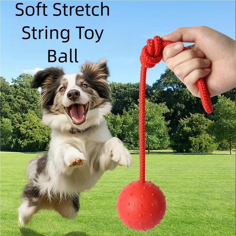 #23 Puppy Rope Toys Discount Picks