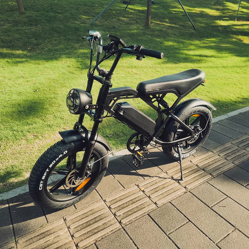 2023 New Product 750W Motor Electric City Bike Double Suspension And Batteries Electric Fat Tire Bike Off-Road Electric Bicycle