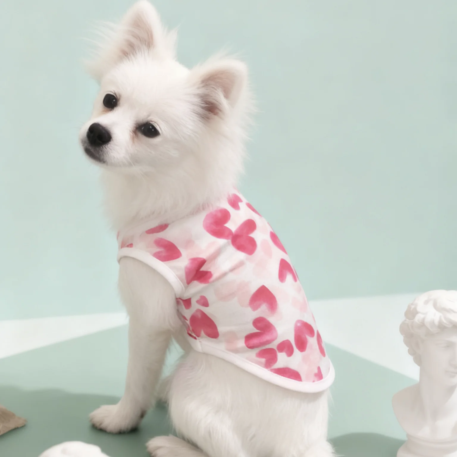 เสื้อผ้าสุนัข เสื้อกั๊กสุนัขบา - Summer Clothing In French บทวิจารณ์และราคา