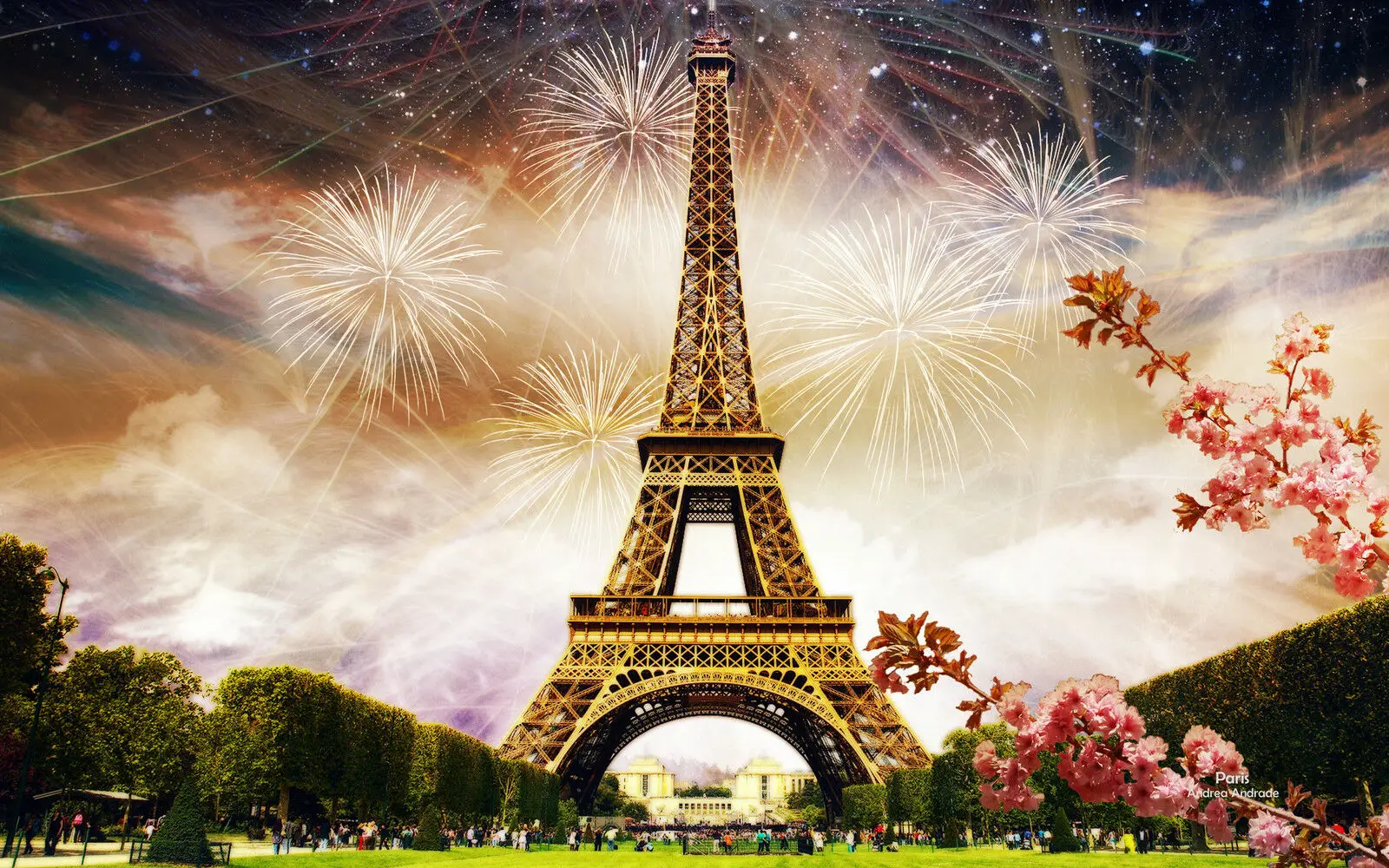 Fireworks in Paris Art Film Print Silk Poster Home Wall Decor 24x36inch