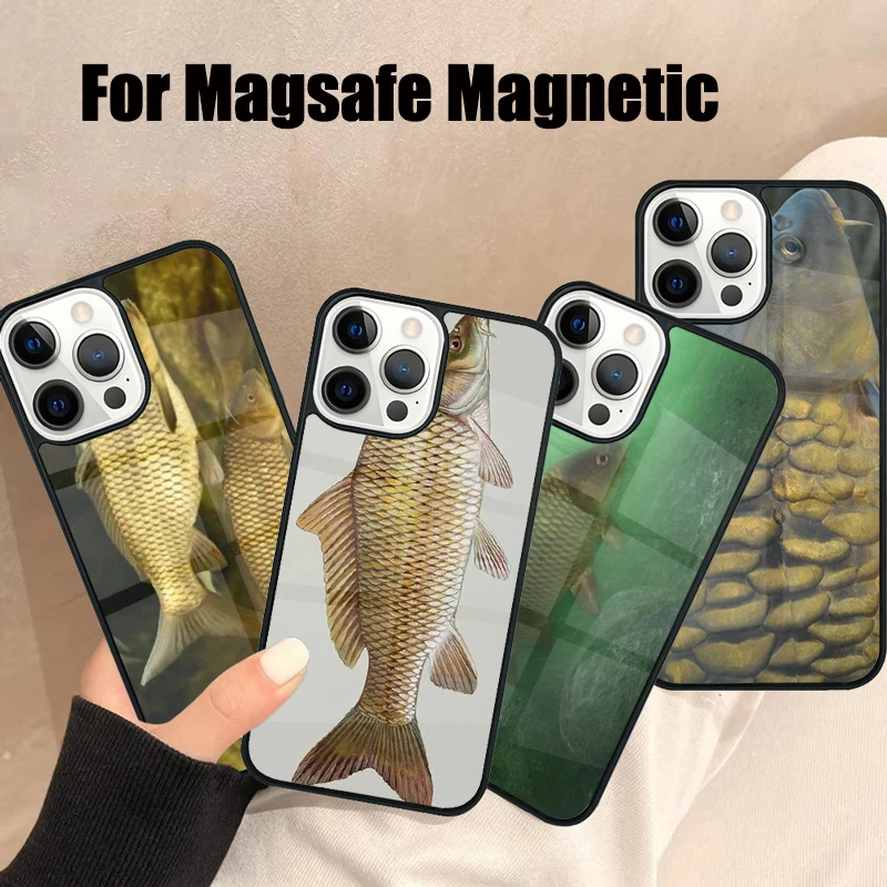 Common-Carp Magsafe Phone Case For iPhone 16 15 14 13 12 11 Pro Max Plus Mini Mirror Wireless Magnetic Cover