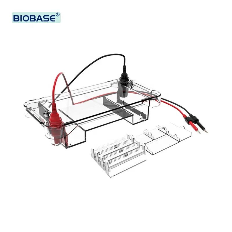 

Horizontal Electrophoresis Tank Molecular Biology DNA Detection Electrophoresis Tank Gel Electrophoresis Tank