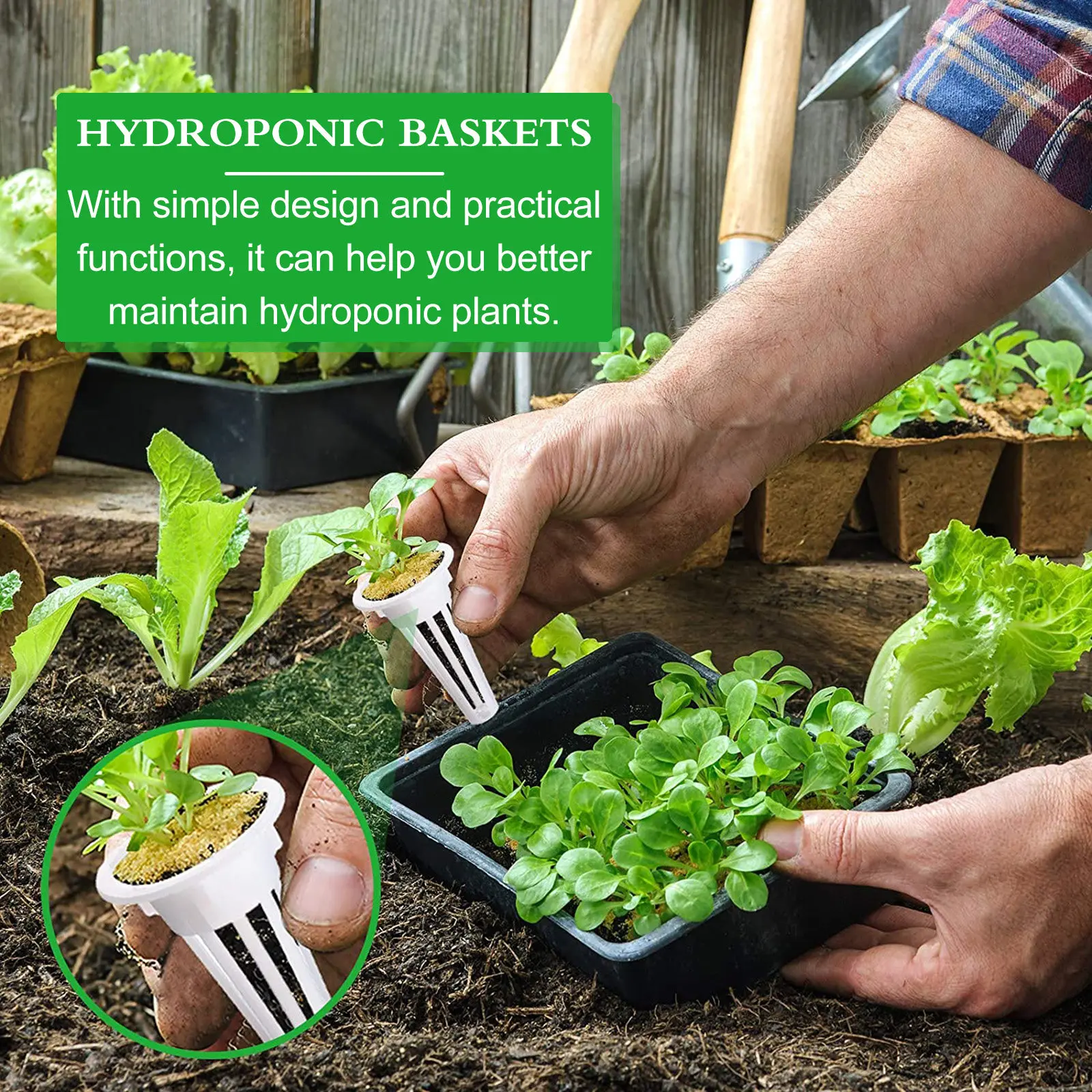 50 paniers hydroponiques en pl - Plant Pot avis et prix
