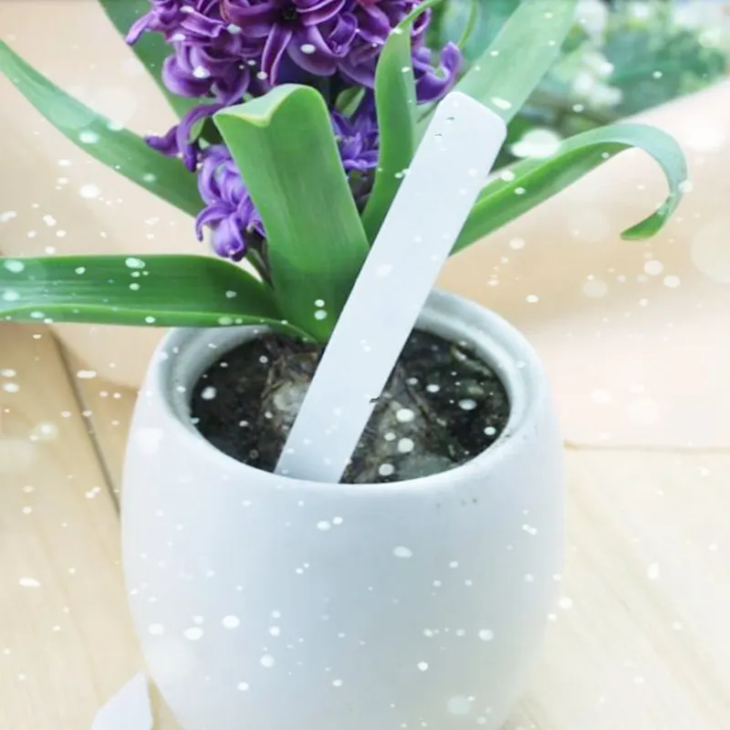 Etiquetas para plantas de piezas, etiquetas de plástico para guardería y jardín, novedad de 200