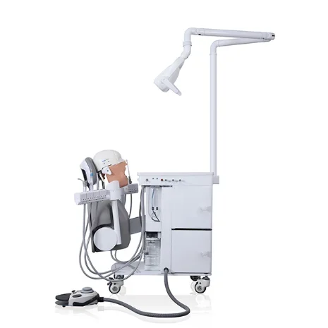 Dental Simulation Model Electrical Simulation Trainer for Students