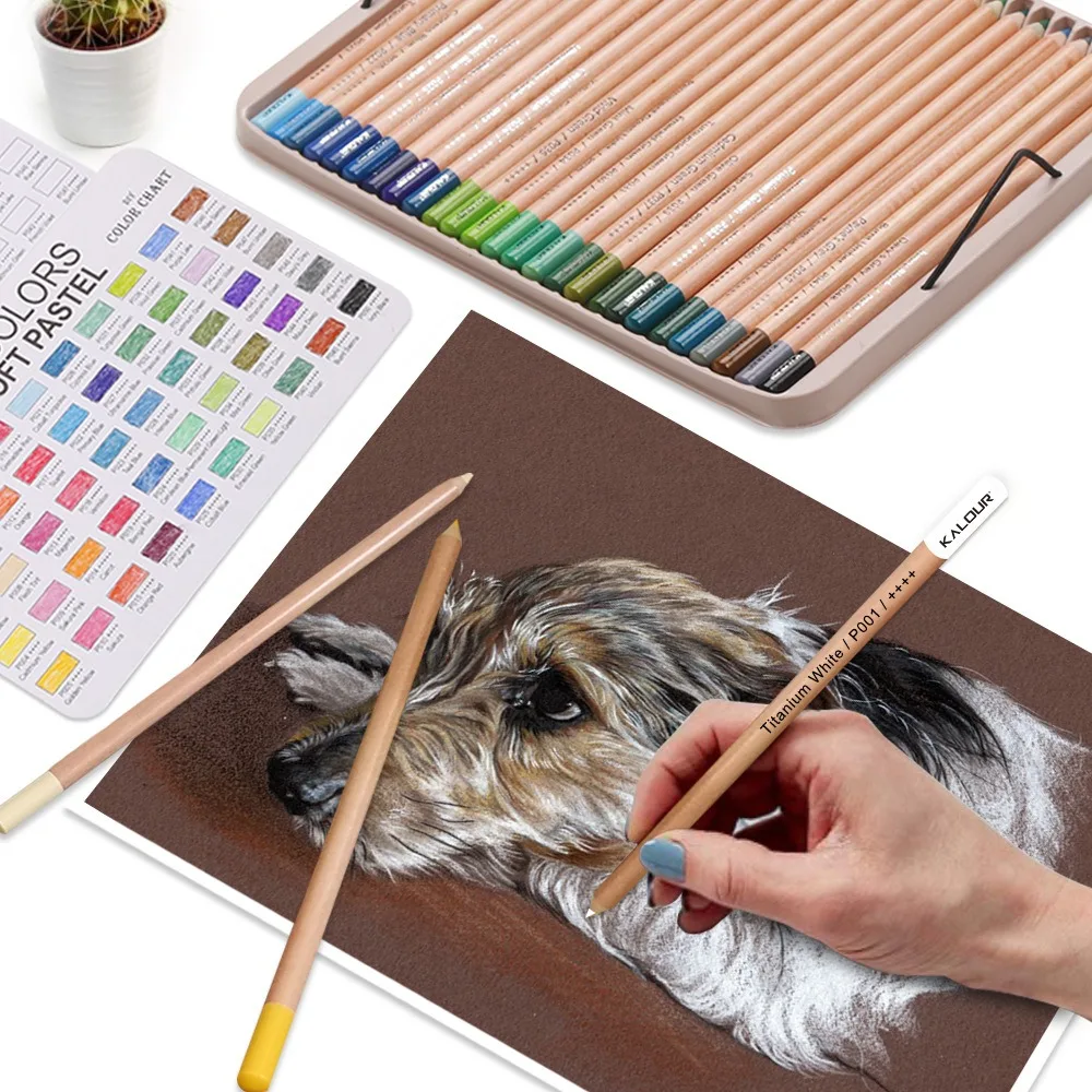Lot De 24 Bâtons De Fusain KALOUR - Charbon Doux, Moyen, Dur & Blanc Pour Dessin Et Croquis