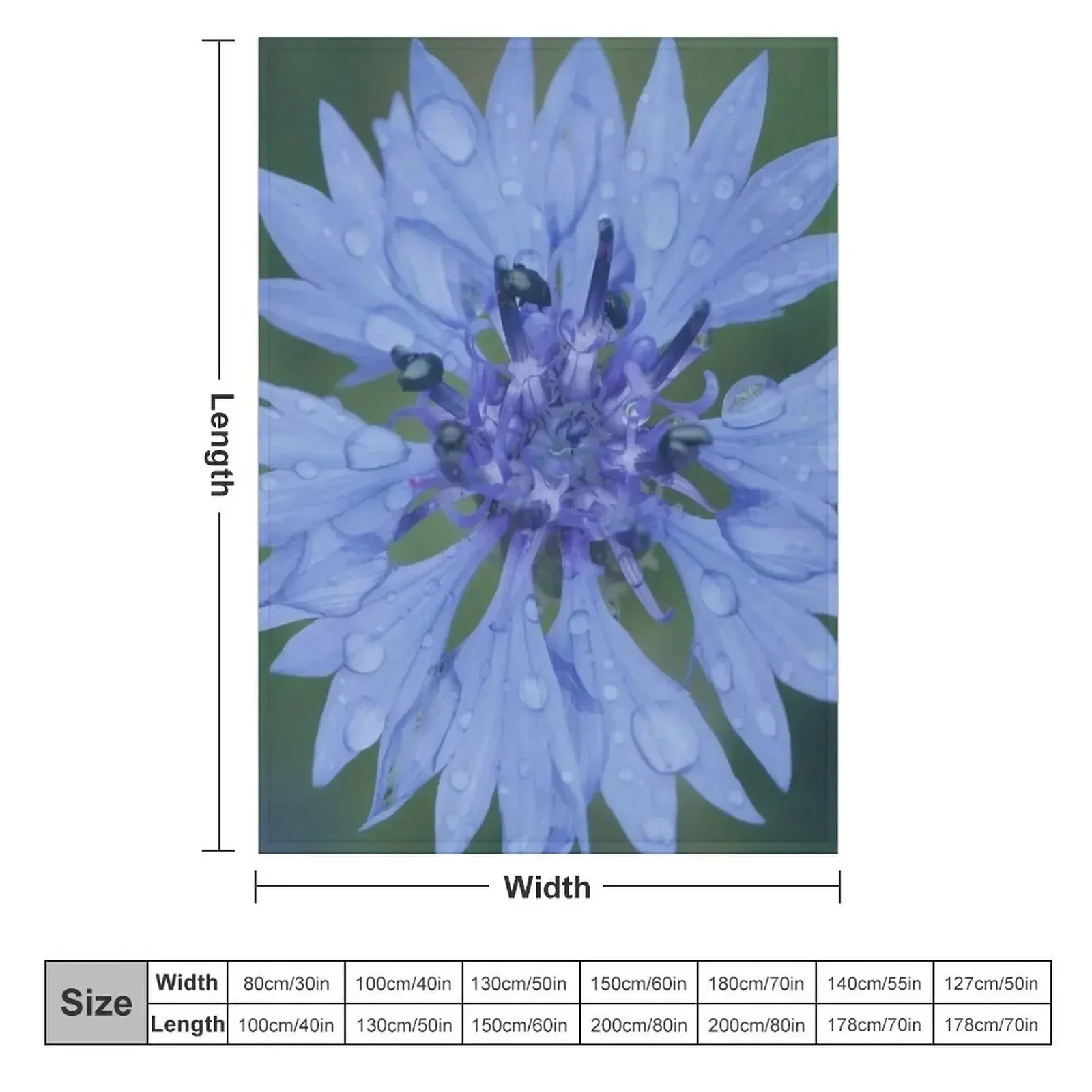 Cornflower blossom cornflower blue raindrop wet flower blue Throw Blanket Polar Luxury Designer manga Soft Sofa Quilt Blankets