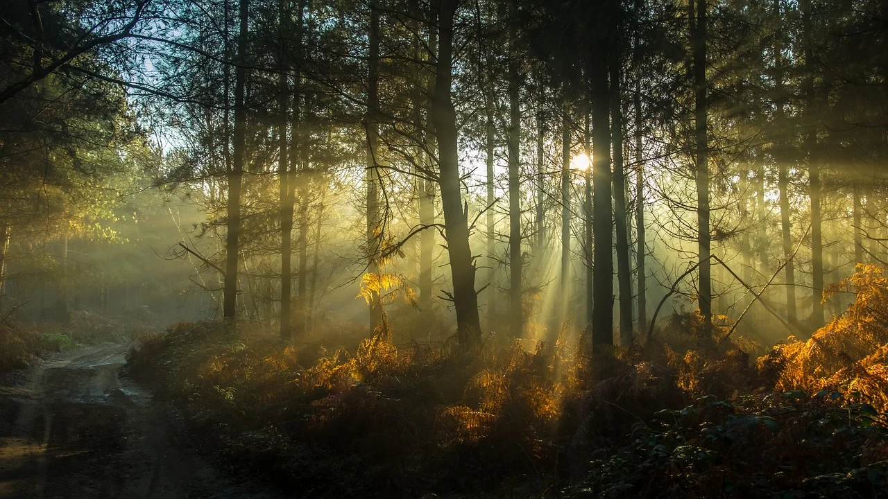 

New Products 2025 V-NINE V9 V10 Professional Cavitation Machine Slimming Machine Vacuum Roller Vela Body Slim Shape Machine