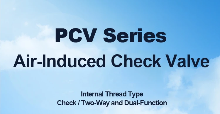 PCV-induzierte Rückschlagventil-Druckregelung – Detail 1