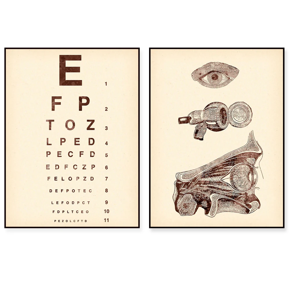 Optometrist Doctor Gift Vintage Medical Art Human Eye Anatomy Art Refraction Printable Eye Art Clinic Wall Decor