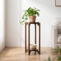 M New Cn Style Plant