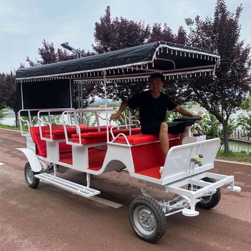 OEM Romantic Sightseeing Horse Carriage Luxurious Horses Wagon Customized Wedding Cart for Tourist