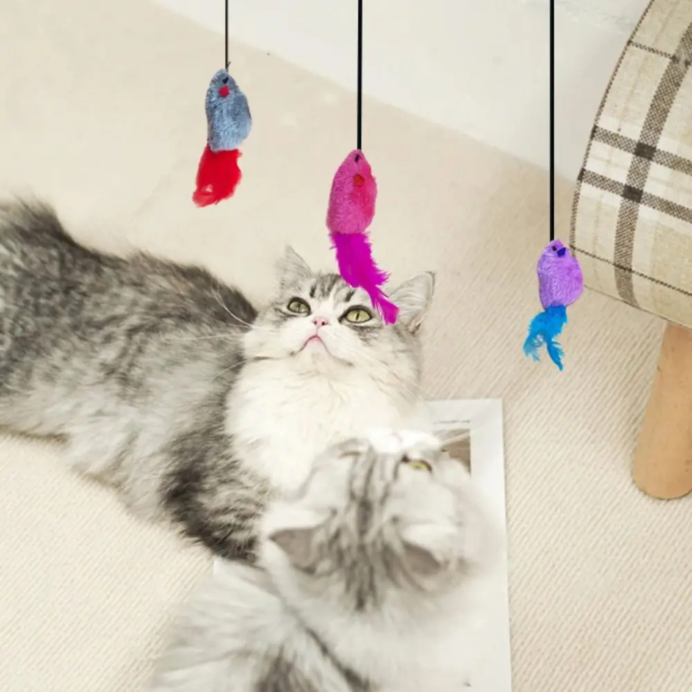 

/Feather Hanging Mouse Cat with Sticky Hook Interactive Mouse Cat Scratch Rope Mouse Sounding Bouncing Mouse Cat