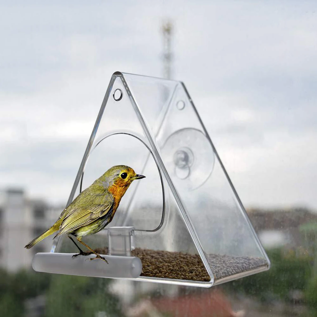 

Acrylic Bird Feeder Transparent Hanging Bowl Outdoor Durable Safe Creative Design Food Cage Feeder Rack Small Birds