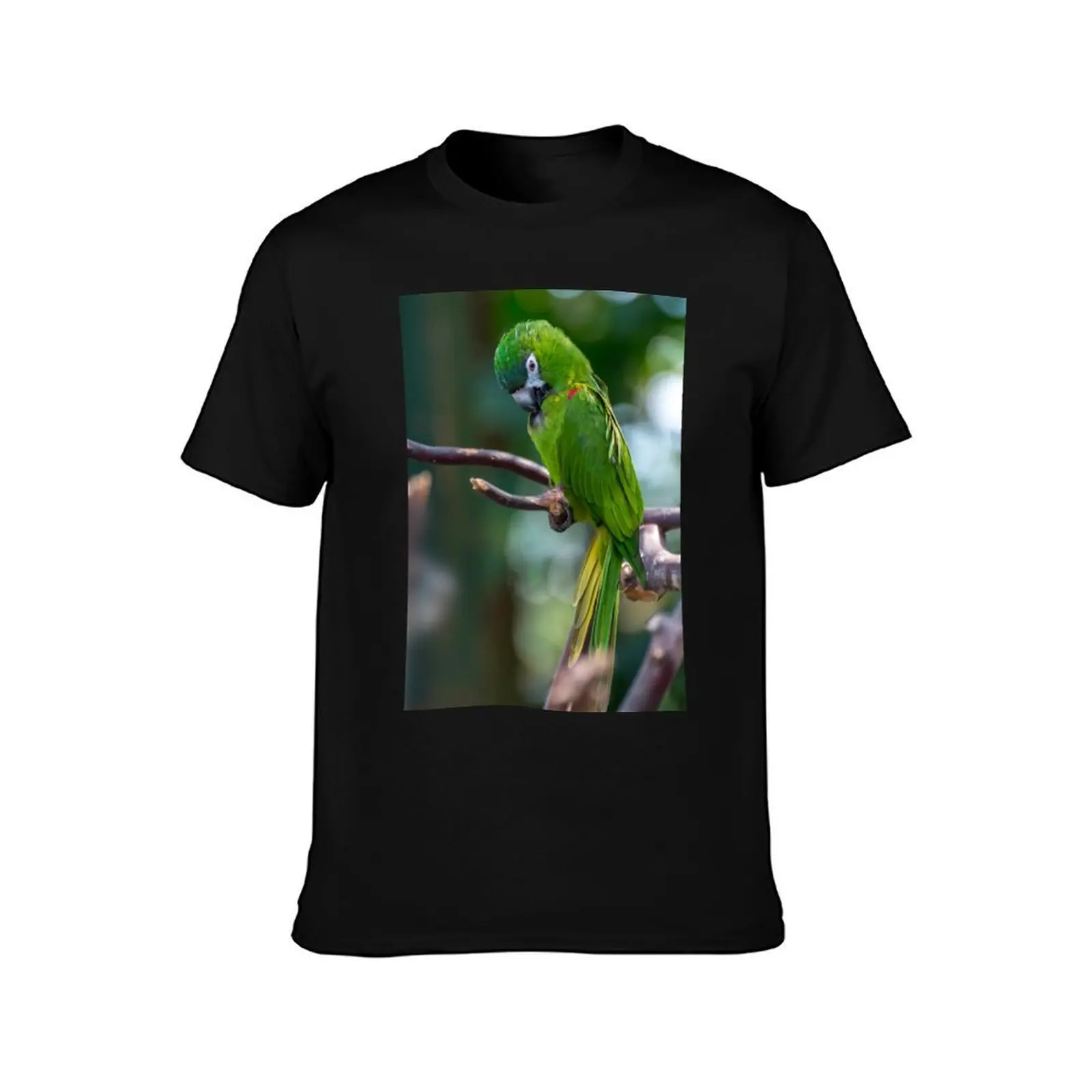 Hahn's Macaws Men T Shirt man t shirt graphic