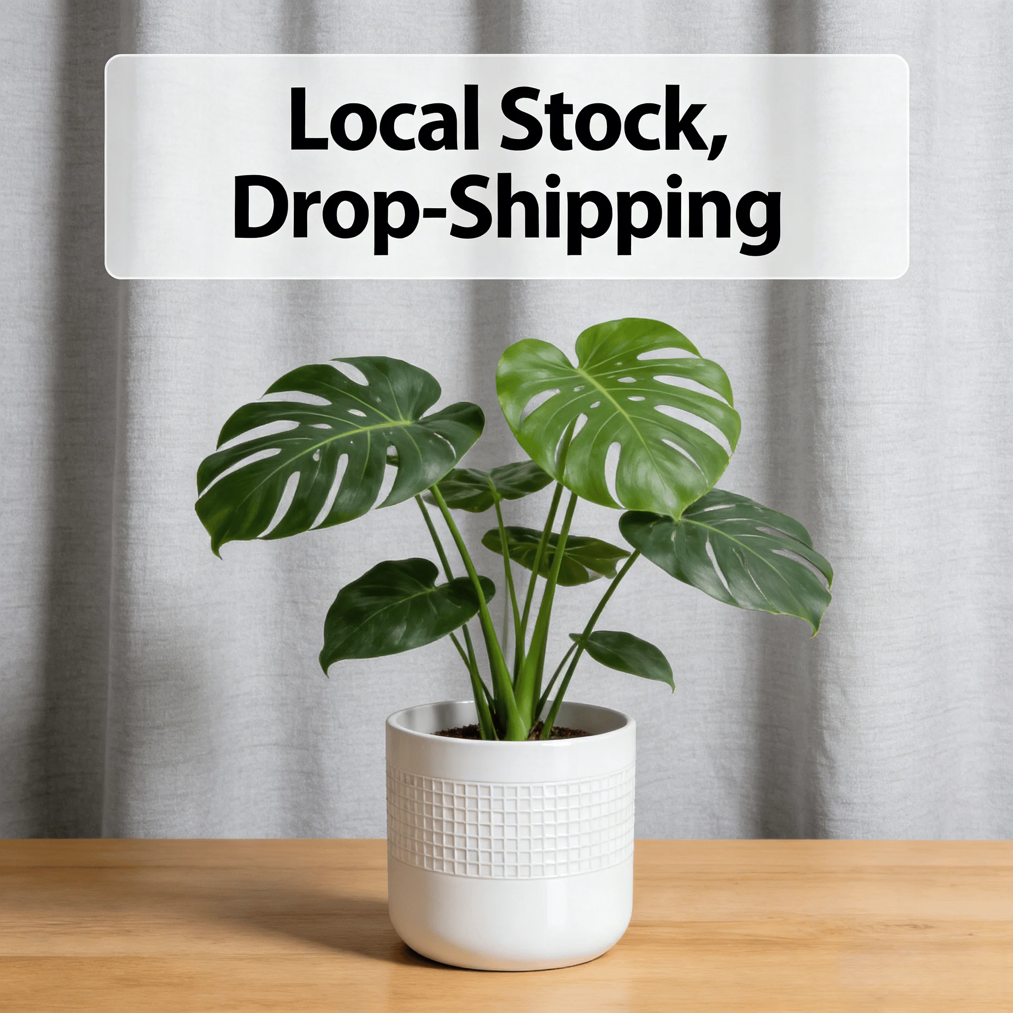 Indoor/Outdoor Garden Home Decor Modern White Handmade Eco-Friendly Ceramic Planter Set of 3