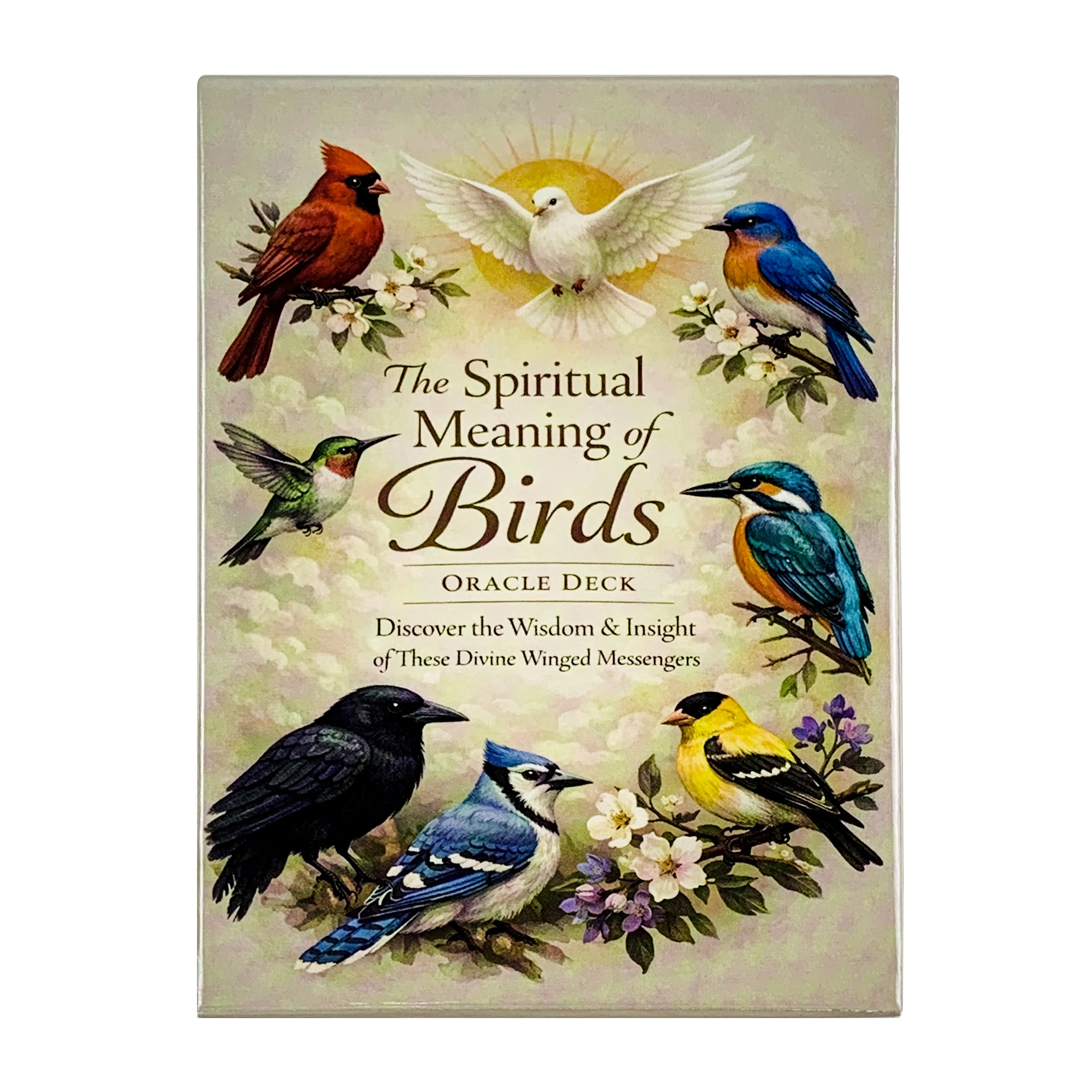 Nouvelles cartes Oracle sur le sens spirituel, 10.2x7.4CM, 50 cartes, découvrez la sagesse et les révélations de ces messagers divins ailés