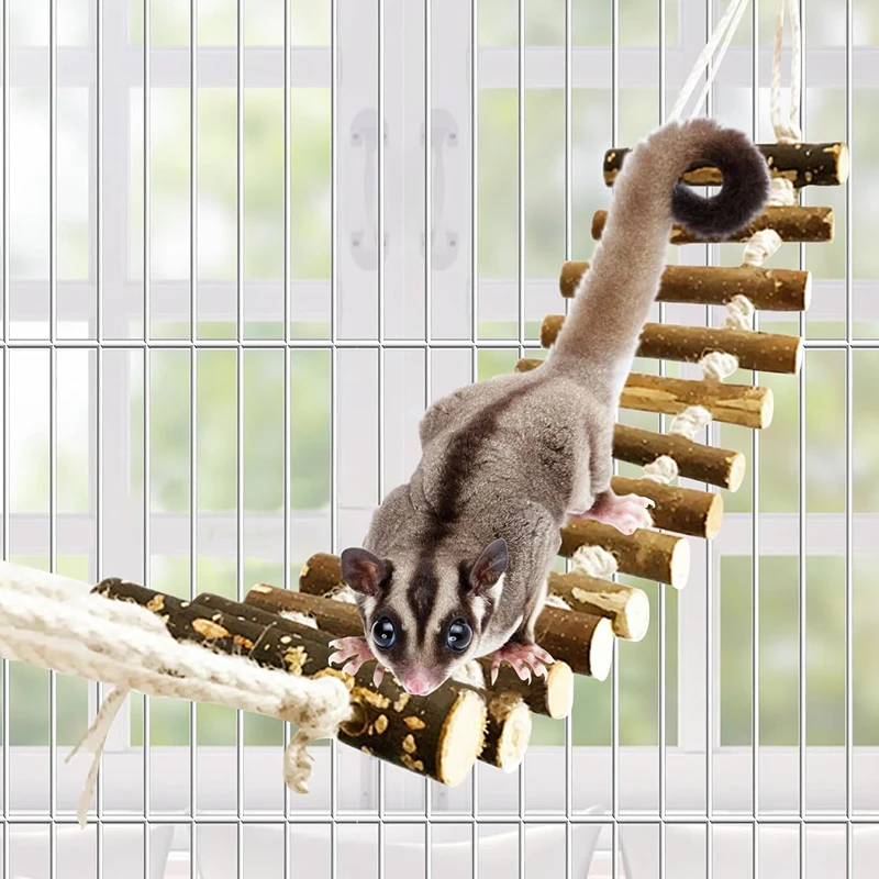 Thumbnail 3 - #17 Top Hamster Cages Picks for Every Budget
