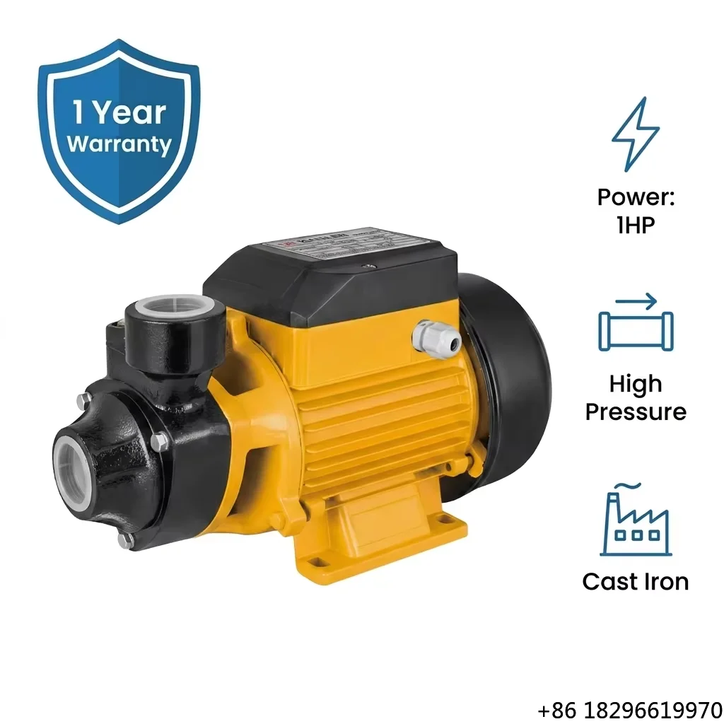 Kaislen 1 QB80 Stainless Steel Peripheral Vortex Booster Pump 220V High Pressure 50L/min for Garden Home Use