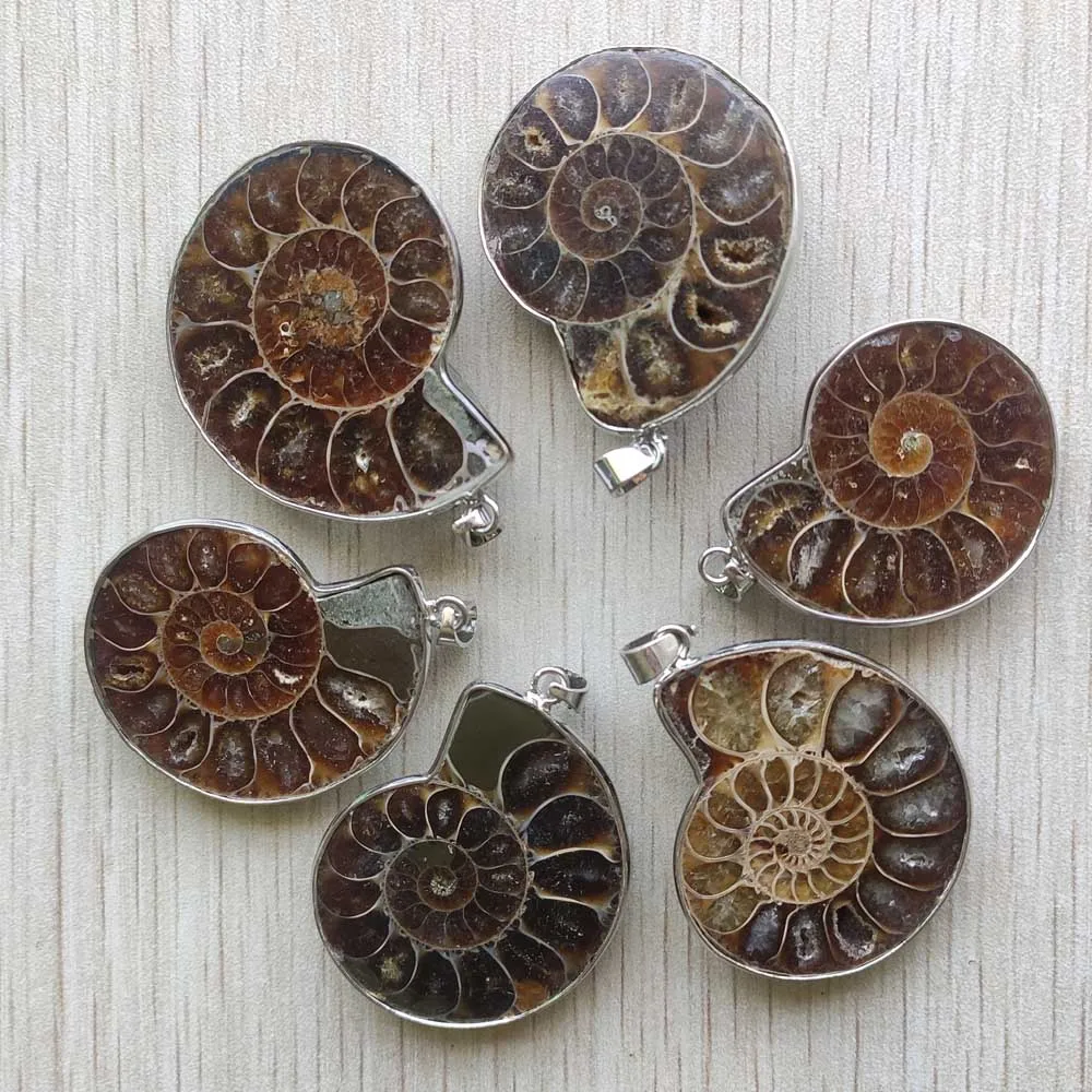 Natural ammonite snail shell healing stone pendants for necklaces jewelry accessories making fast shipping Wholesale 6pcs/lot