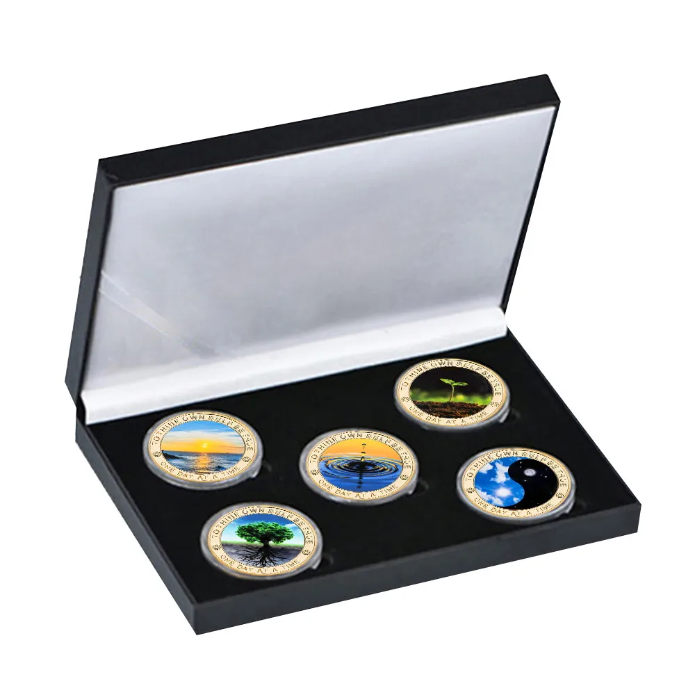 5pcs Sobriety Coin Set Achievement Medallions Sobriety Gifts for Adults Alcoholics Addiction Recovery Gifts For Sober Art Gifts