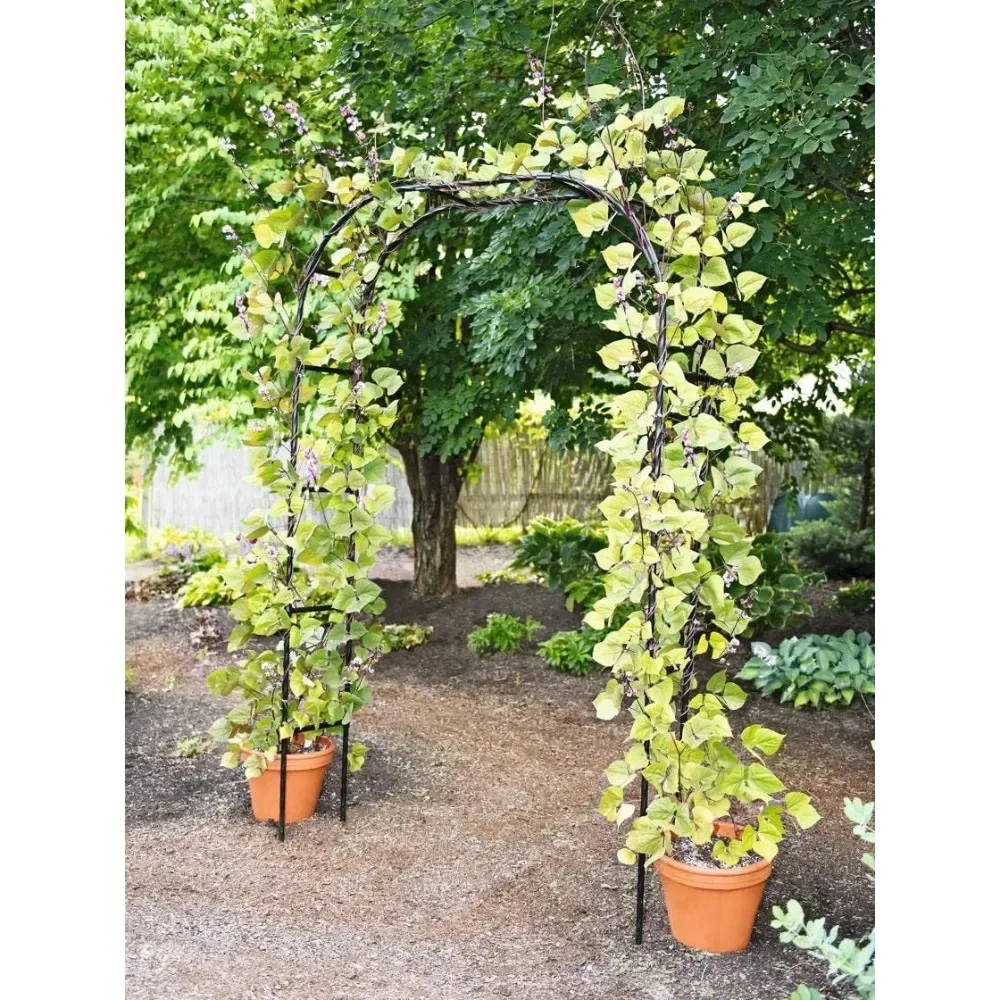 

Titan Arch Arbor Garden Trellis | Sturdy Tall Garden Arch Plant Support for Climbing Plants, Vines and Flowers