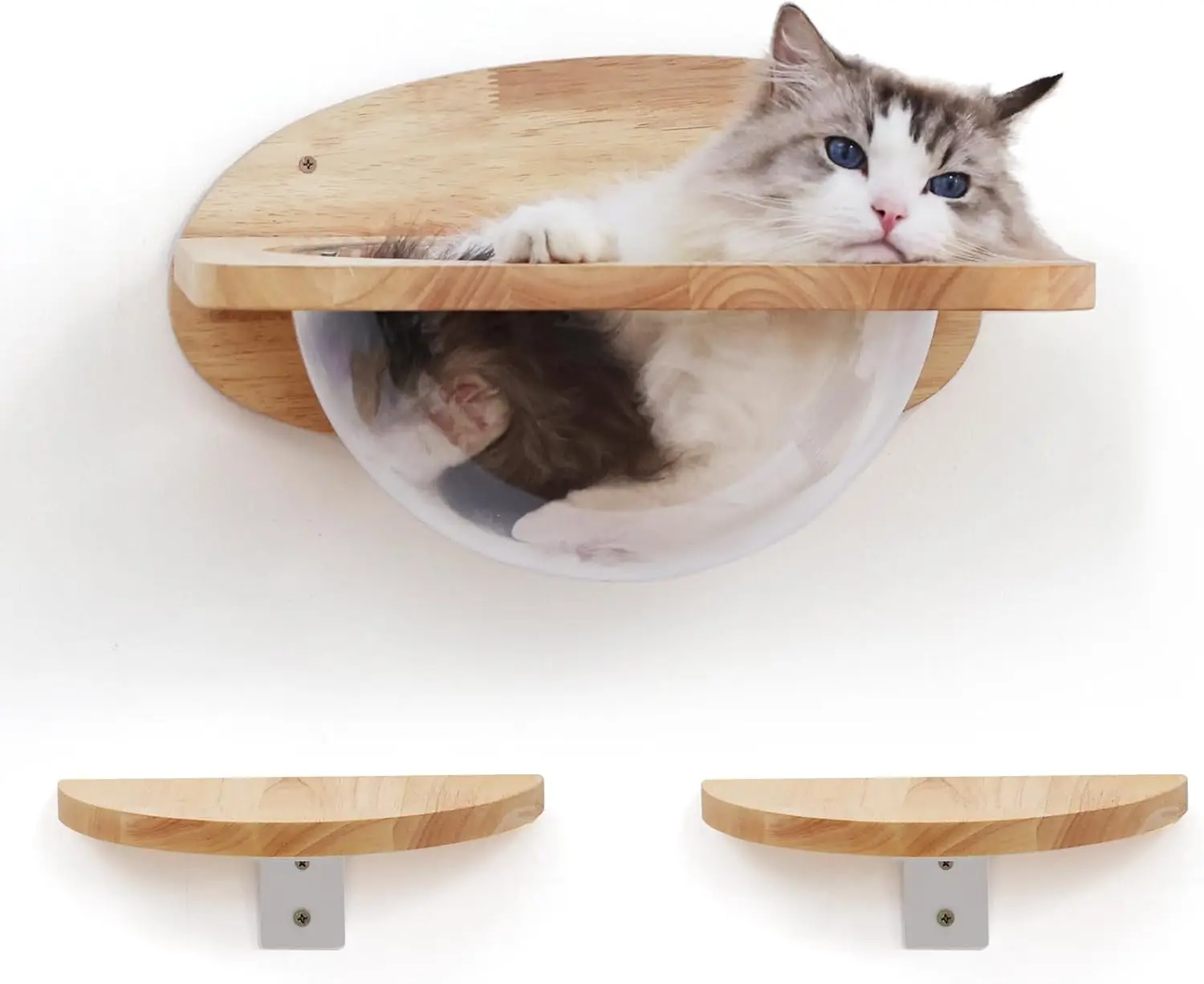 

Cat Wall Furniture Set, Transparent Capsule with 2 Pedals - Kitty Shelves for Sleeping, Playing, Climbing - Holds Up to 35 Lbs