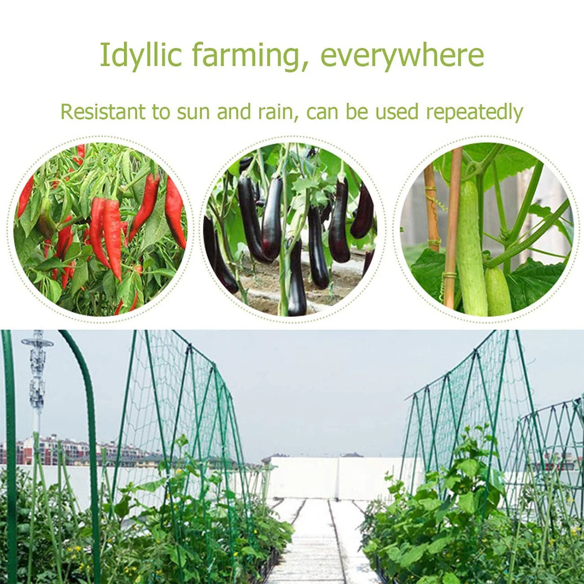 Garden Plants Climbing Net Nylon Planting Supports Trellis Netting for Vine Vegetables Loofah Cucumber Grow Holder 2023